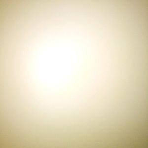 Meet your Posher, Arnold